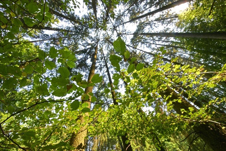 11_DSC2282.jpg 11 DSC2282