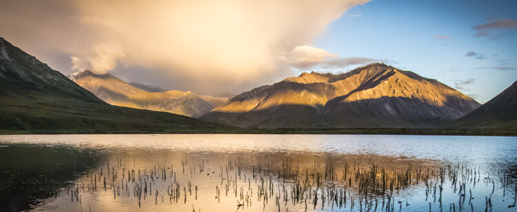 Cull Your Photos Carefully - 5 Steps to Follow Before You Hit Delete