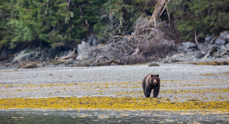 Cull Your Photos Carefully - 5 Steps to Follow Before You Hit Delete