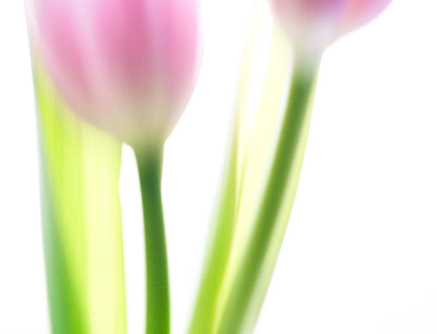 create-more-artistic-photos-fast