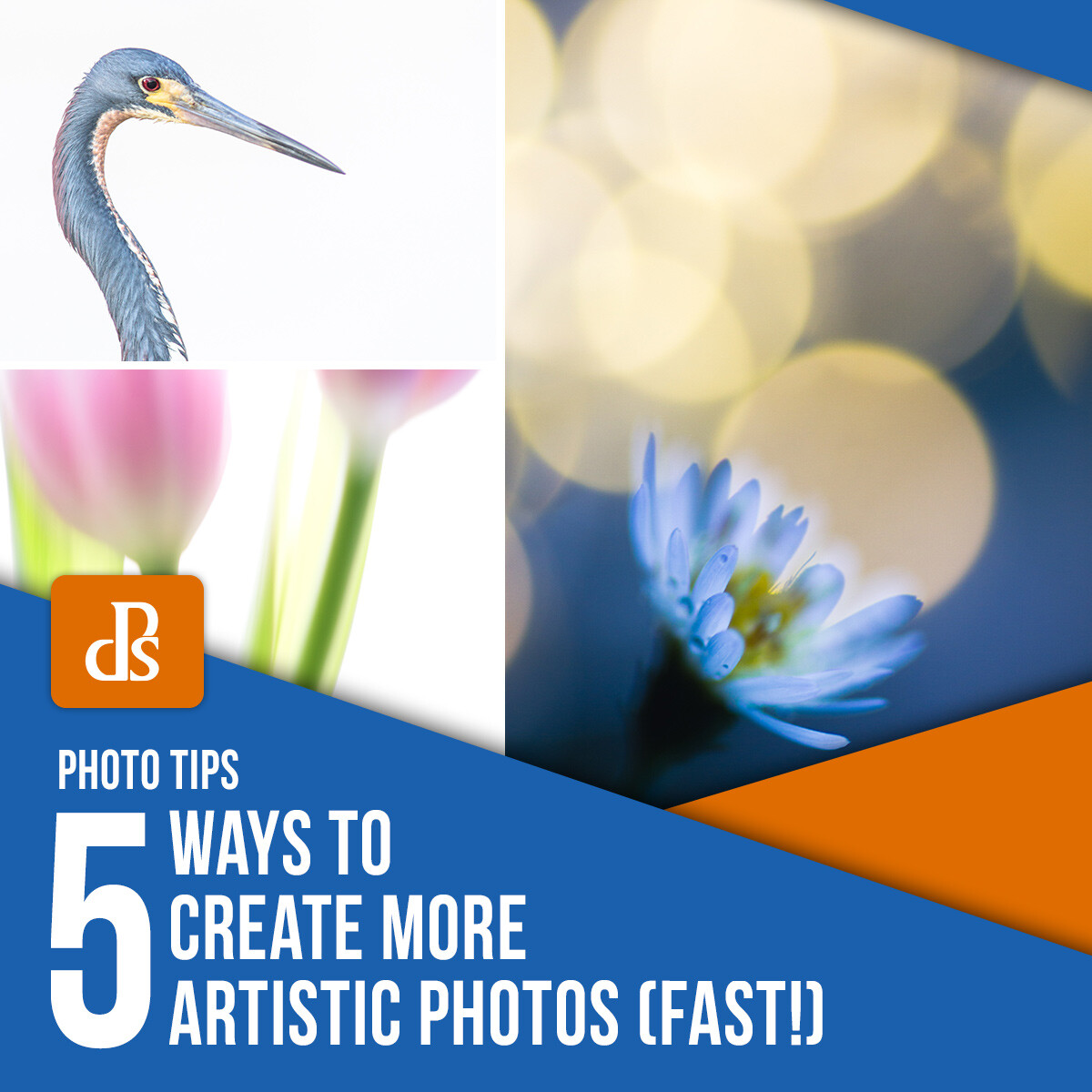 create-more-artistic-photos-fast