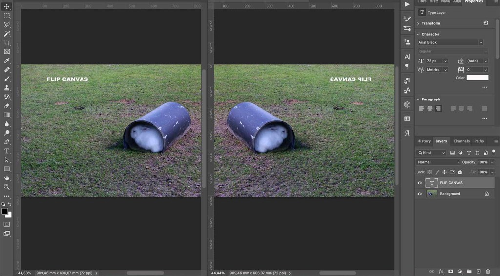 How to mirror an image in Photoshop