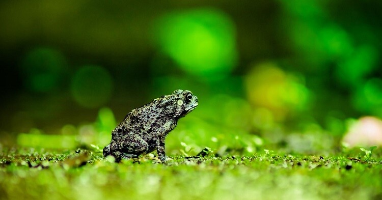 rikaguite_225579_compressed.jpeg still life photography mistakes