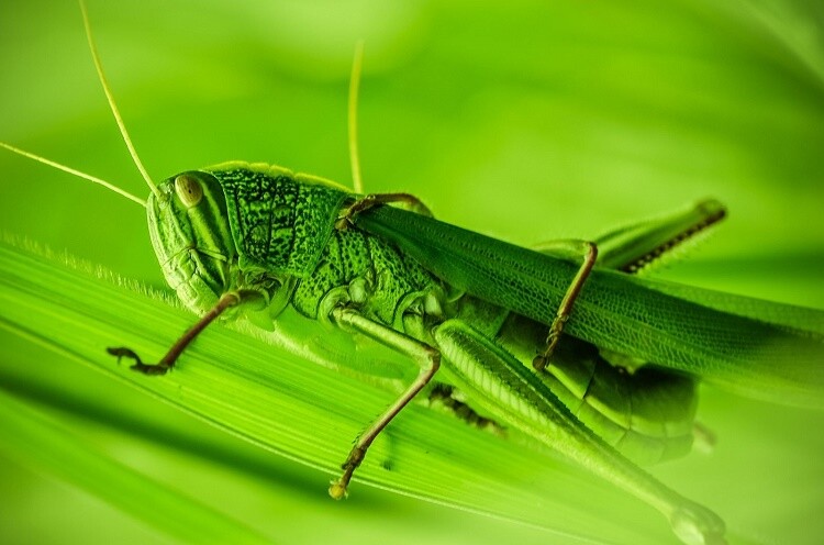 rikaguite_846293_compressed.jpeg still life photography mistakes