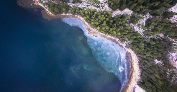 DSLR Camera Focusing Tips for Beginners