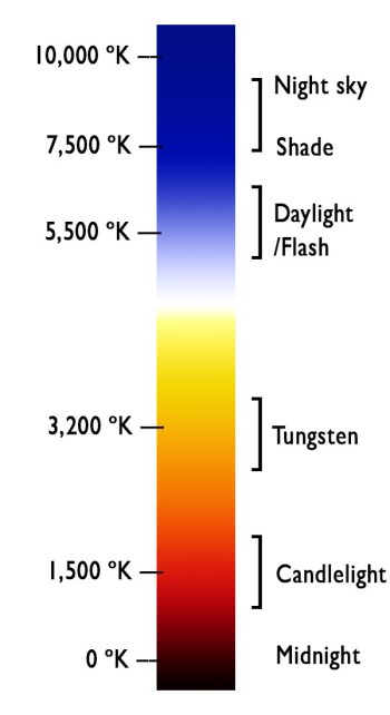 The dPS Ultimate Guide to Photography for Beginners