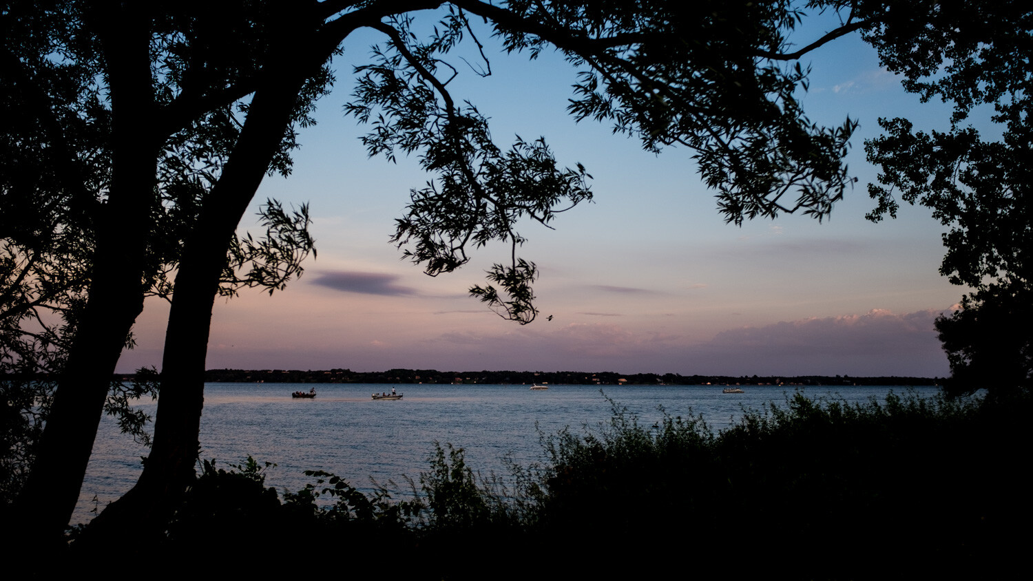 Candid moments in nature