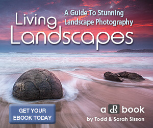 livinglandscapes_300x250.jpg Livinglandscapes 300x250