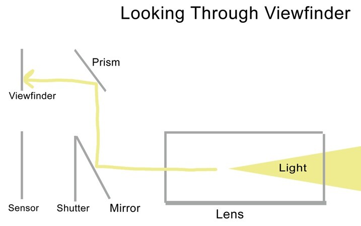 looking-viewfinder.jpg Looking viewfinder - The dPS Absolute Beginner’s Guide to Photography