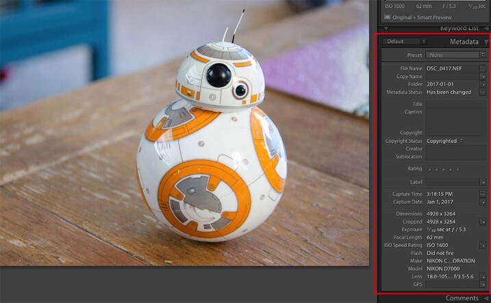metadata-2.jpg Metadata 2 - The dPS Absolute Beginner’s Guide to Photography