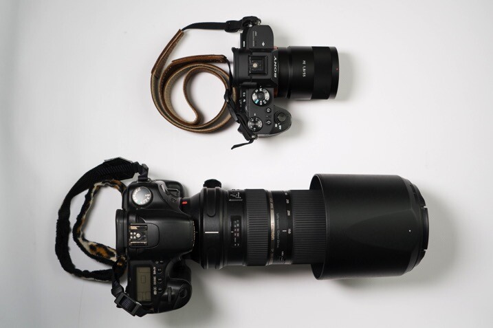mirrorless-versus-dslr.jpg Mirrorless versus dslr - The dPS Absolute Beginner’s Guide to Photography