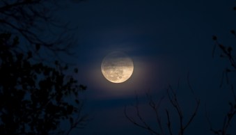 Moon Photography Settings: A Guide for Gorgeous Results