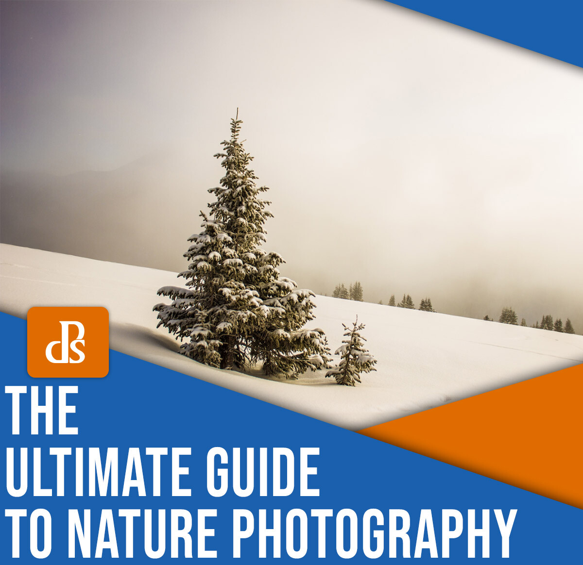 The ultimate guide to nature photography