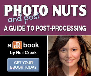 nutspost_300x250.jpg Nutspost 300x250