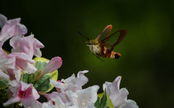 shutter-1-4000th.jpg Shutter 1 4000th - The dPS Absolute Beginner’s Guide to Photography