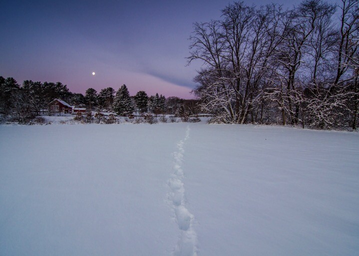 snow-leading-line.jpg Snow leading lines - The dPS Absolute Beginner’s Guide to Photography