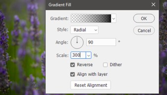 How to Create a Vignette in Photoshop (A Quick Guide)