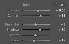 Lightroom settings for a hockey image - Tips for Editing Hockey Photos in Lightroom