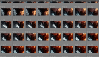 Lightroom Virtual Copies: The Ultimate Guide
